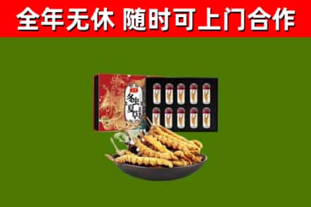 安龙县回收冬虫夏草价格